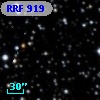 RRF  919