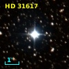 HD  31617