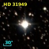HD  31949