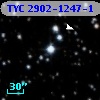TYC 2902-1247-1