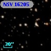 NSV 16205