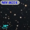 NSV 16221