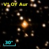 V* OY Aur