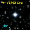 V* V1403 Cyg