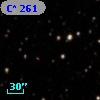 C*  261