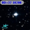 BD+37  1020B