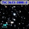 TYC 3613-1000-1
