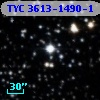 TYC 3613-1490-1