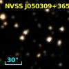 NVSS J050309+365754