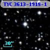 TYC 3613-1918-1