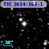 TYC 3614-163-1