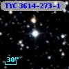 TYC 3614-273-1