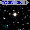 TYC 3614-301-1