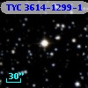 TYC 3614-1299-1