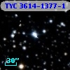 TYC 3614-1377-1