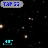 TAP 55