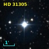 HD  31305