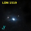 LDN 1519
