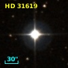 HD  31619
