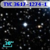 TYC 3617-1274-1