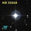 HD  31018