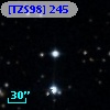 [TZS98] 245
