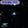 [TZS98] 257