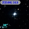 [TZS98] 313