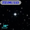 [TZS98] 513