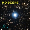 HD 202349