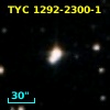 TYC 1292-2300-1