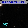 IRAS 04503+1831