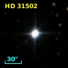 HD  31502