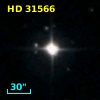 HD  31566