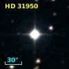 HD  31950