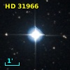 HD  31966