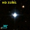 HD  31981