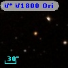 V* V1800 Ori