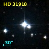 HD  31918