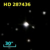 HD 287436