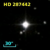 HD 287442