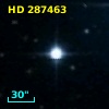 HD 287463
