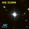 HD  31099