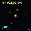 V* V1802 Ori