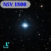 NSV  1800