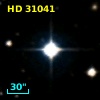 HD  31041