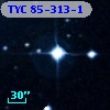TYC   85-313-1