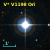 V* V1198 Ori