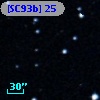 [SC93b]  25