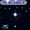 TYC   85-1181-1